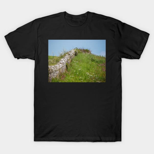 Wembury Dry Stone Wall T-Shirt by jonrendle